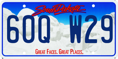 SD license plate 60QW29