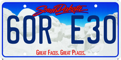 SD license plate 60RE30