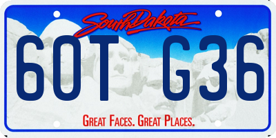 SD license plate 60TG36