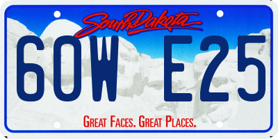 SD license plate 60WE25