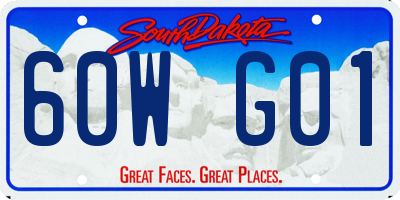 SD license plate 60WG01
