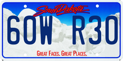 SD license plate 60WR30
