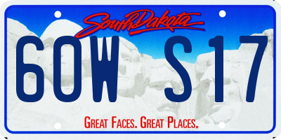 SD license plate 60WS17