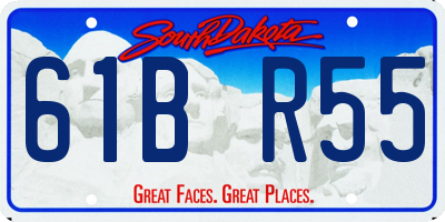SD license plate 61BR55