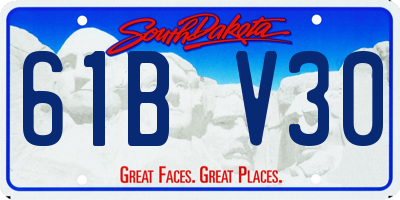 SD license plate 61BV30