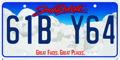 SD license plate 61BY64