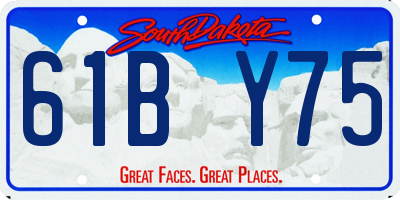 SD license plate 61BY75