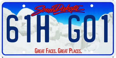 SD license plate 61HG01