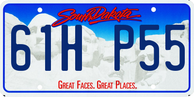 SD license plate 61HP55