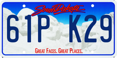 SD license plate 61PK29