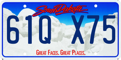 SD license plate 61QX75