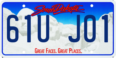 SD license plate 61UJ01