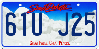 SD license plate 61UJ25