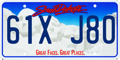 SD license plate 61XJ80