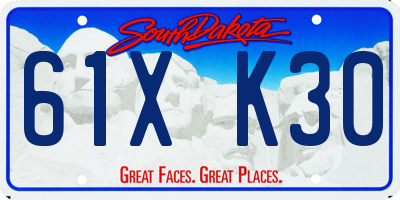 SD license plate 61XK30