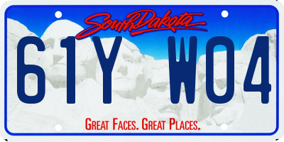 SD license plate 61YW04