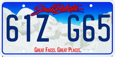 SD license plate 61ZG65
