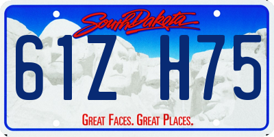 SD license plate 61ZH75