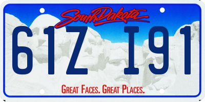 SD license plate 61ZI91