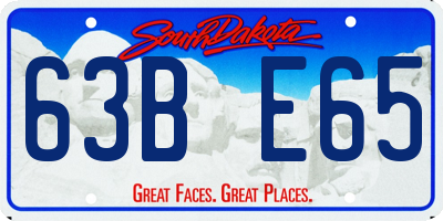 SD license plate 63BE65