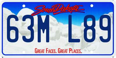 SD license plate 63ML89