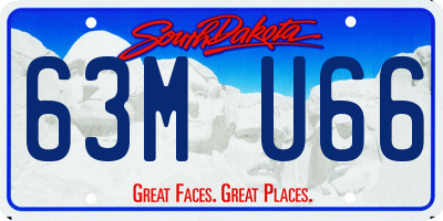 SD license plate 63MU66
