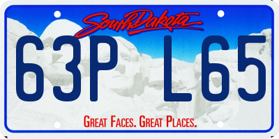 SD license plate 63PL65
