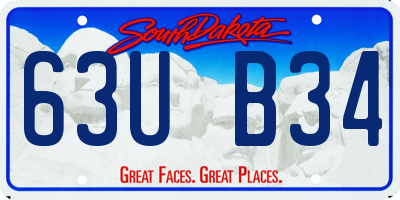 SD license plate 63UB34