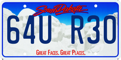 SD license plate 64UR30