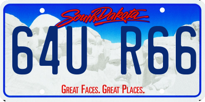 SD license plate 64UR66