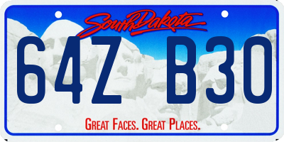 SD license plate 64ZB30