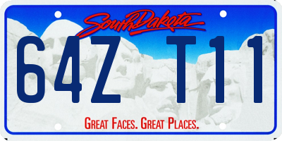 SD license plate 64ZT11