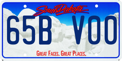 SD license plate 65BV00