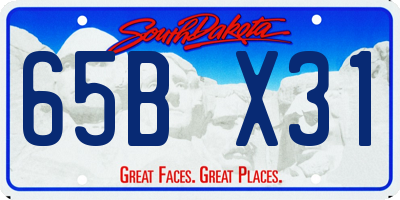 SD license plate 65BX31