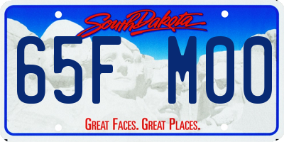 SD license plate 65FM00