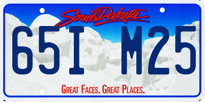 SD license plate 65IM25