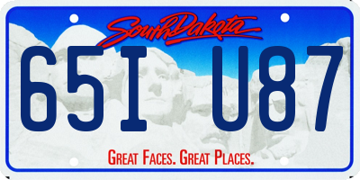 SD license plate 65IU87