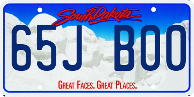 SD license plate 65JB00