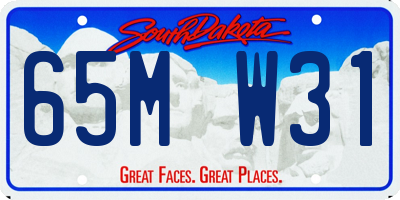 SD license plate 65MW31