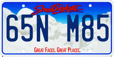 SD license plate 65NM85