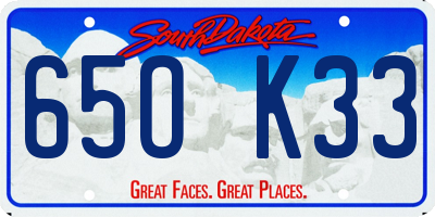 SD license plate 65OK33