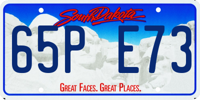 SD license plate 65PE73
