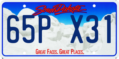 SD license plate 65PX31