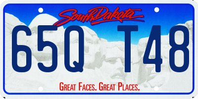 SD license plate 65QT48