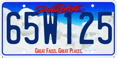 SD license plate 65W125