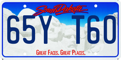 SD license plate 65YT60