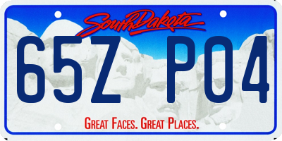 SD license plate 65ZP04