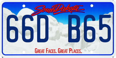 SD license plate 66DB65