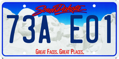 SD license plate 73AE01