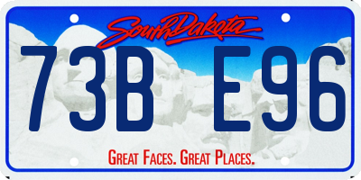SD license plate 73BE96